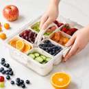 OrganiBox  | Organizador Hermético Premium 8 Divisórias